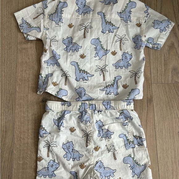 Dinosaur Summer Matching Set – 9–12 Months - Picture 4 of 4